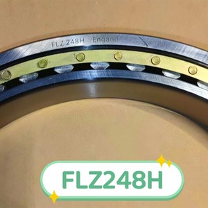 Roulement à rouleaux cylindriques FLZ248H, roulement à une rangée <span class=keywords><strong>FLZ</strong></span> 248 H, FLZ248 - Product Image 6