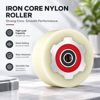 Roue en nylon avec noyau en fer, roulement à billes solide pour chariot industriel, équipement d'usine, tailles de rayonnages sur mesure