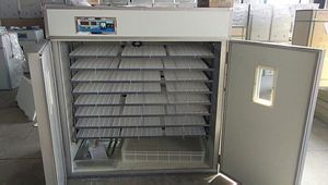 Công nghiệp incubateur tự động thiết lập 2000 trứng gà 1500 trứng vịt 5000 Trứng chim cút lồng ấp HJ-I12 - Product Image 2