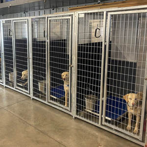 Chenils pour chiens robustes, galvanisés à chaud, pour intérieur et extérieur, avec panneaux d'isolation - Product Image 2