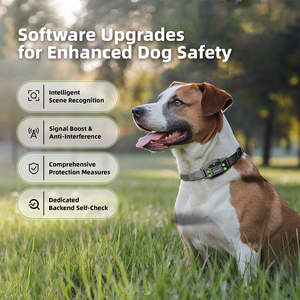 Có thể sạc lại GPS con chó hàng rào IPX7 không thấm nước vật nuôi ngăn chặn hệ thống không dây hàng rào đào tạo cổ áo không dây GPS con chó hàng rào - Product Image 4