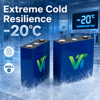 بطارية VOLTRA 314 Ah LiFePO4 ذات الخلايا العميقة الدورة (6000+ دورة) من الفئة A لمشاريع الطاقة على نطاق واسع، جاهزة للشحن بنظام DDP