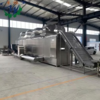 Doorlopende Droger Fruit Groenten Droger Snoep Doorlopende Droger, Fruit Groente Mango Cassave Koffie Bonen Gaas Banddroger