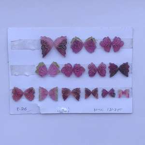 Pierre de tourmaline de pastèque naturelle de 10 mm, sculpture d'ailes de papillon, pierre précieuse, provenant du fabricant, achat en gros en ligne - Product Image 2