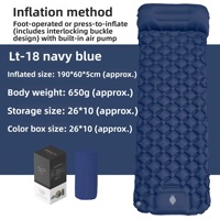 Matelas gonflable léger pour le camping en plein air, avec pompe intégrée, lit simple, tapis de couchage en TPU, résistant à l'humidité, 40D