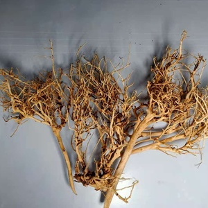 Décoration pour aquarium : Bois flotté brésilien en forme de branche thaïlandaise, texture claire, pour aquarium de forêt tropicale, usage intérieur, fabricant - Product Image 2