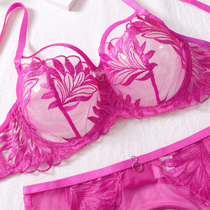 Nouvel arrivage de lingerie à armatures en dentelle florale brodée pour femmes string pour dames soutien-gorge culotte transparent porte-jarretelles sous sexy - Product Image 4