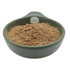 Extracto de Raíz de <span class=keywords><strong>Mondia</strong></span> Whitei en Polvo de Alta Concentración 10:1 20:1 - Product Image 5