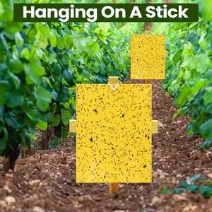 กับดักแมลงวันแบบเหนียวสีเหลือง สำหรับควบคุมแมลง ยุง มด <span class=keywords><strong>แมงมุม</strong></span> ตัวเรือด ศัตรูพืช สำหรับฟาร์มและโรงเรือน - Product Image 5