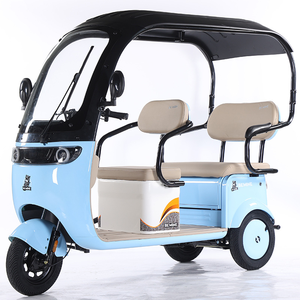Voiture de tourisme électrique RC 500W 48v20A trois places réglable populaire CN HEN - Product Image 1