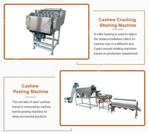 Macchina per la lavorazione degli anacardi del pelapatate del frantoio per la pulizia del vibratore del seme di Kaju Caju industriale in vendita - Product Image 6