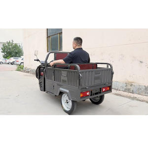 Nouvelle batterie 3 roues Cargo voiture électrique vélo Tricycle moto Chine Tricycle électrique avec Cargo - Product Image 3