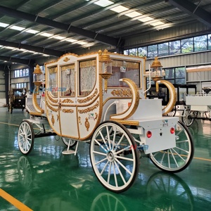 Carruaje Real con Caballos, Limusina, Vehículo Eléctrico, Carroza Real con Caballos/Carroza Eléctrica para Turismo - Product Image 6