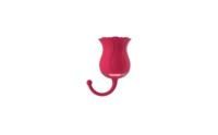 Starkes Saugen des internen sprudelnden 7-Frequenz-Vibrators Adult Toy Clit Sucker Nippel brust G-Punkt-Vibrator für Frauen