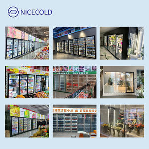 Chambre froide de stockage de porte en verre pour des supermarchés, des stations service et des chaînes au détail d'épicerie - Product Image 6