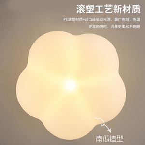 Plafonnier LED minimaliste moderne QiaoSheng à une seule tête pour couloir, entrée, dressing - Product Image 3