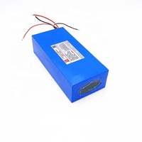 Paket baterai e-bike Ion Lithium 48V 14ah