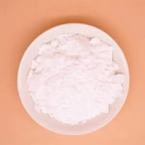 Material primário em pó branco pigmento de titânio revestimento de dióxido de titânio