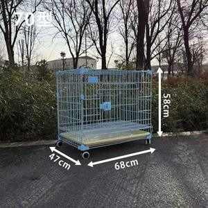 Hayvan Pet mağaza Pet ürünleri dükkanı ve Pet kafesleri malzemeleri katı desen plastik tepsi taşıyıcı - Product Image 3