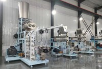 Machine à granulés pour aliments pour animaux de compagnie, aliments pour chiens, aliments pour poissons, fabrication de granulés pour chiens, pour chiens