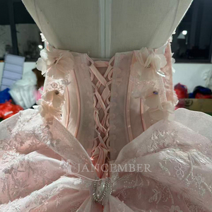 Vestido de Quinceañera Rosa Polvo Mct002 con Drapeado, Mangas Transparentes con Flores 3D, Brillante, para Fiesta de 15 Años, Vestido Natural - Product Image 5