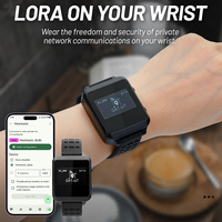 Appareils IoT Extérieurs Étanches IP65 NRF52840 SX1262 GAT562 Nœud Lora Réseau Maillé Montre Intégrée Batterie 800mAh pour Meshtastic