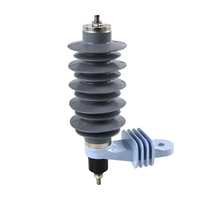 Parafoudre haute tension CA 12KV HY10WS avec isolation composite en caoutchouc silicone et protection contre la foudre à l'oxyde de zinc
