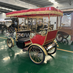 รถสามล้อไฟฟ้าขับเคลื่อน 3 ล้อ แบบแถวเดียว 6 สปีด โครงเหล็ก สำหรับนักท่องเที่ยว - Product Image 3