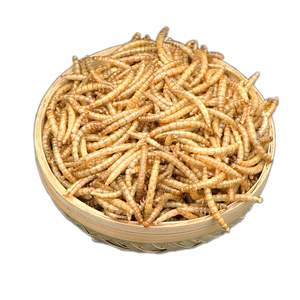 Tự nhiên động vật thực phẩm protein cao khô đen lính Fly ấu trùng - Product Image 1