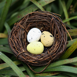 Diy Simulated Bird Nest With <b>Eggs</b> Miniature Ornament For Desktop Plant Landscaping Easter <b>Decoration</b> - Product Image 1
