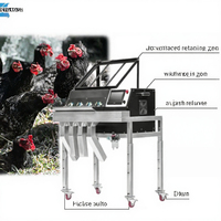 Coupe thermique du bec |   débecquage |   machine à débecquer |   Couvoir à poulets |   ferme |   Éleveur |   Poussins d'un jour |   poulet |   ZPW