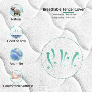 Kích thước đơn 22cm cao Gói cứng hỗ trợ Bọt Túi mùa xuân giường nệm sinh viên ký túc xá metress giường phòng ngủ Nệm - Product Image 4