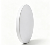 Plafonnier LED en plastique homologué CE ERP IP54 24W Ra80 AC 6000K moderne pour salle de bain