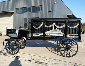 Cercueil électrique classique noir économique de haute qualité, remorque à essieu unique, cercueil électrique traîné par des chevaux, transport spécial, vente chaude - Product Image 3