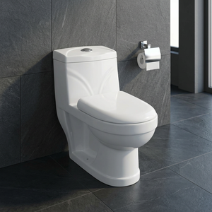 WC monobloc en céramique pour marché africain, cuvette de toilette à siphon, à poser au sol, blanc, équipement sanitaire - Product Image 5