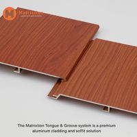 Revêtement en aluminium imitation bois |   Système de façade murale extérieure avec revêtement en poudre
