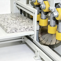 Linea di Taglio Automatica per Bordi Stradali con Nastro Trasportatore, Attrezzatura per Taglio e Lavorazione di Granito e Marmo