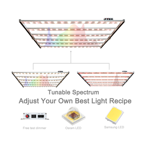 Lampe de culture à spectre réglable <span class=keywords><strong>Koray</strong></span> G80 700 Watt utilisant des LED Samsung 1m301h pour une culture à haut rendement de plantes médicinales - Product Image 5