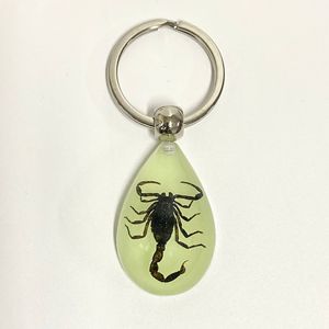 <span class=keywords><strong>Porte</strong></span>-clés en <span class=keywords><strong>résine</strong></span> avec des insectes réels lumineux de taille moyenne, scorpion - Product Image 3