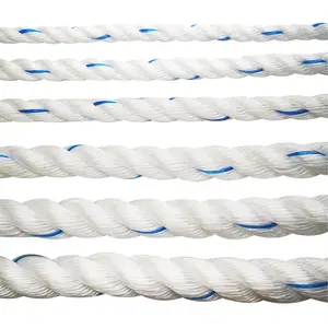 PP corde polypropylène corde torsion blanc bleu polyacier pp danline corde pour la pêche marine