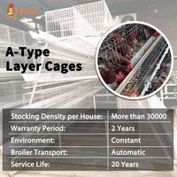 Ferme avicole pour animaux d'élevage de poules pondeuses en batterie Cages à poules pondeuses pour poulailler