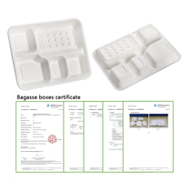 Plateaux à déjeuner en bagasse de canne à sucre jetables naturels 4 assiettes en papier compostables biodégradables à 5 compartiments