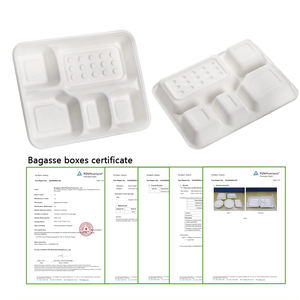 Natural Disposable Sugarcane Bagasse <strong>Lunch</strong> <strong>Trays</strong> 4 5 Compartment Biodegradable Compostable Paper Plates - Product Image 3