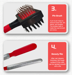 Productos Populares de Fábrica Kit Portátil de Limpieza para Mascotas 10 en 1 Kit de Aseo Profesional Cortaúñas para Mascotas, Cepillo, Etc. - Product Image 3