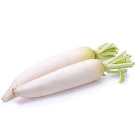 Professionele kwaliteit Maanster Hybride Witte Fruitradijs 99,9% Zuiverheid Grootschalige Teelt Hoog Kiemvermogen Uniform