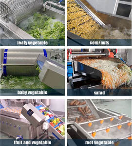 Customized Root <b>Vegetable</b> <b>Production</b> Line Taro Jicama Beets Potao Radish Ginger Washing Peeling and Cutting Machsine - Product Image 6