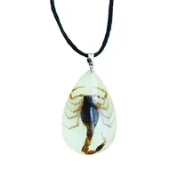 Mode éternel insecte collier séché insecte collier goutte d'eau lueur insecte ambre pendentif collier bijoux cadeau pour les femmes