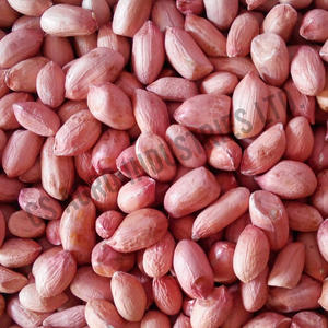 เมล็ดถั่วลิสงสดขนาดใหญ่พิเศษขายส่ง - Product Image 6