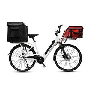 Batería de Litio de Alta Capacidad de 36V/13AH para Bicicleta de Reparto, 3 Velocidades, Entrega Rápida, 13Ah Ensur - Product Image 1