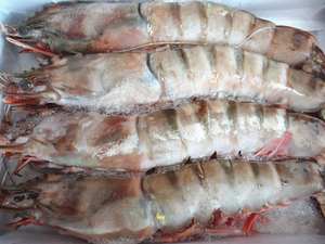 <span class=keywords><strong>Tunnel</strong></span> industriel TCA Équipement de congélation IQF/Prix du <span class=keywords><strong>tunnel</strong></span> de congélation rapide pour crevettes de poisson - Product Image 6